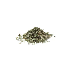Tisane de Menthe Douce bio (Mentha Spicata) – Feuilles entières en vrac pour infusion