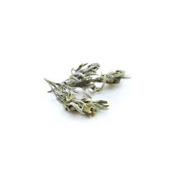 Tisane de Sauge Officinale bio (Salvia Officinalis) – Feuilles entières en vrac pour infusion