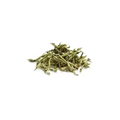 Tisane de Verveine Odorante bio (Aloysia Citriodora) – Feuilles entières en vrac pour infusion