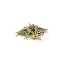 Tisane d’Olivier bio (Olea Europaea) – Feuilles entières en vrac pour infusion