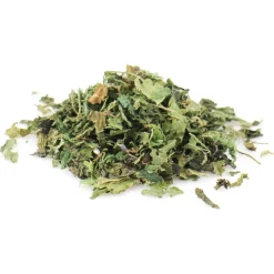 Tisane d’Ortie bio (Urtica Dioica) – Feuilles coupées en vrac pour infusion