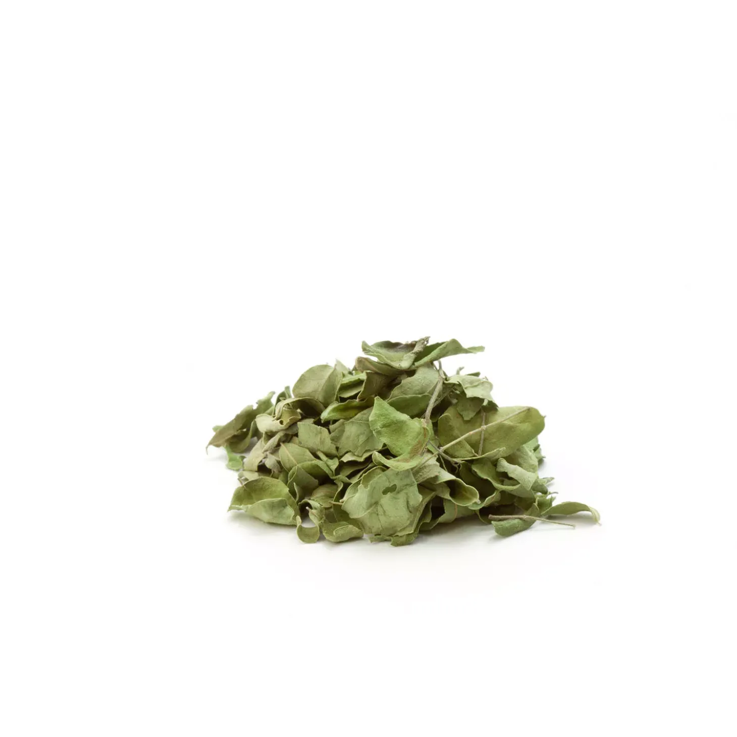 Tisane Feuilles de Moringa bio – Vitalité & Bien-Être