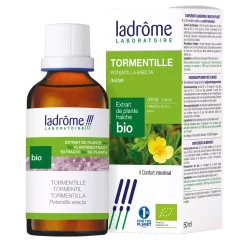 Tormentille bio (Potentille Dressée) – Potentilla Erecta – Extrait hydroalcoolique concentré