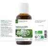 Valériane bio (Valeriana Officinalis) – Extrait hydroalcoolique concentré