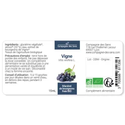 Vigne bio (Vitis Vinifera) – Macérat concentré de bourgeons frais