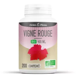 Vigne Rouge bio