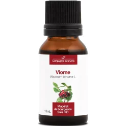 Viorne bio (Viburnum Lantana) – Macérat concentré de bourgeons frais