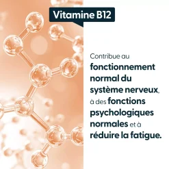 Vitamine B12 Végan