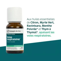 Voies respiratoires